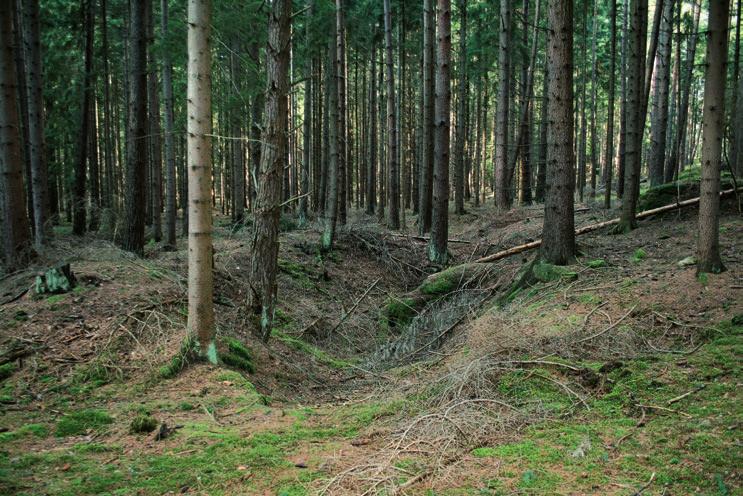 Obr. 2. Pozůstatky historické těžby na zrudněné křemenné žíle v západní části lokality Vlastkovec-Grázlova sluj (foto V. Hrazdil, r. 2016). Fig. 2. Remains of historical mining at the ore-bearing quartz vein in the western part of the locality Vlastkovec- Grázlova sluj (photo V.