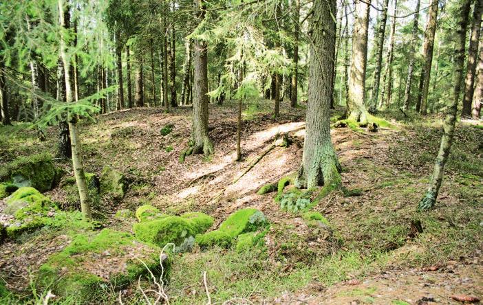 Obr. 5. Pozůstatky po historické šachtě u Valtínova (foto V. Hrazdil r. 2017). Fig. 5. Residues after the historical shaft near Valtínov (photo V.