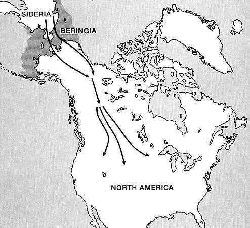 Vliv glaciace: Beringia Pleistocénní extinkce: