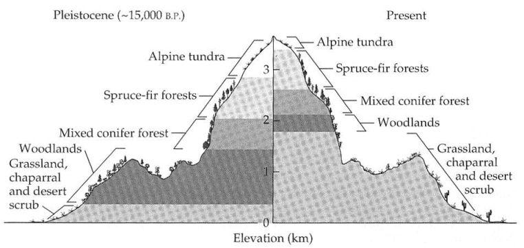 Vliv glaciace: altitudinální posun
