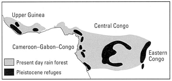 Centra endemismu & pleistocénní refugia proč je Latinská Amerika druhově tak bohatá a Afrika tak chudá?