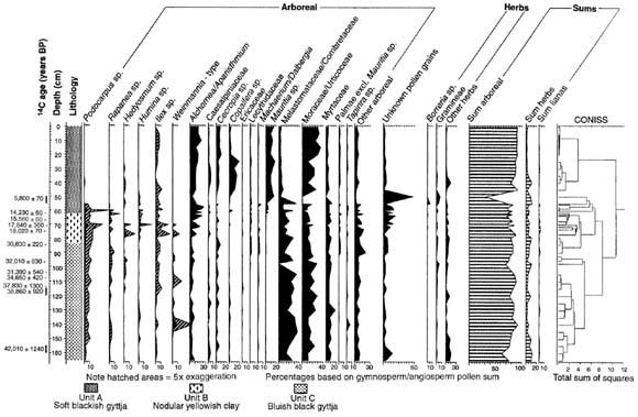 Pleistocénní refugia vs. důkazy P. Colinvaux pylový diagram z Amazonie Centra endemismu & pleistocénní refugia v tropech: proč je to asi všechno špatně?