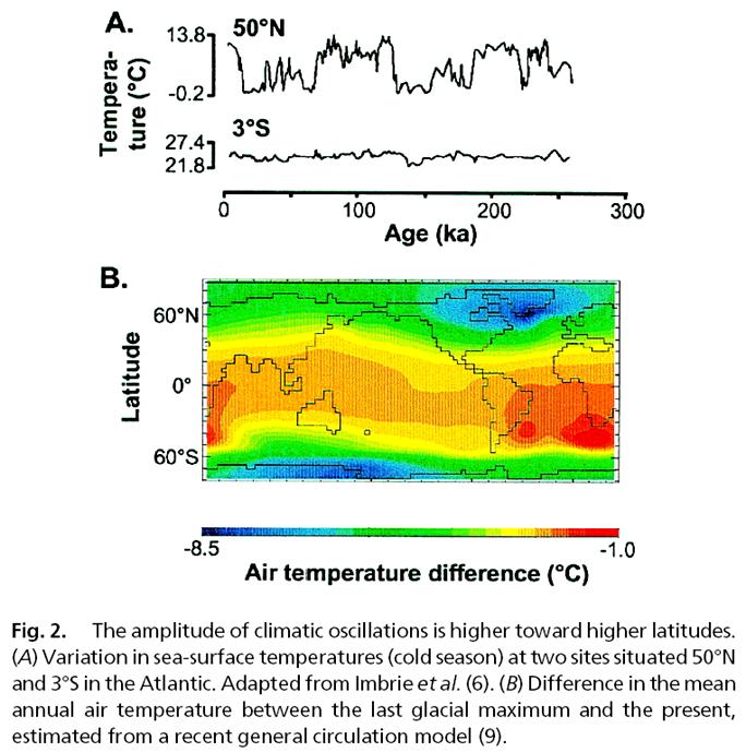 ORD model oscilační areálové dynamiky orbitally