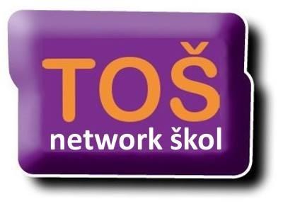 ucelený systém podpory pozitivních změna zavádění inovací ve školství (práce Klubu TOŠ, OSV, program pro facilitátory a konzultanty v oblasti rozvoje škol, účast v mezinárodních projektech).
