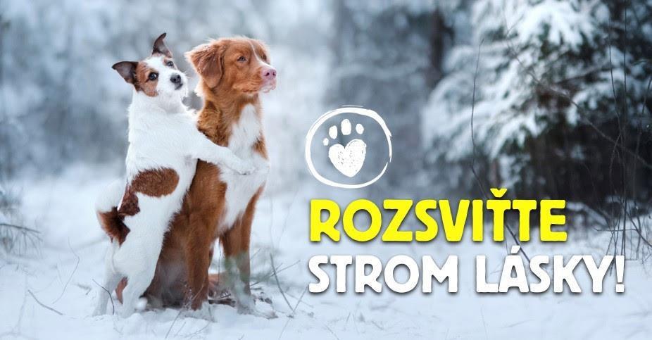 STROM PŘÁNÍ DOKONALÉ LÁSKY V neděli 16. 12.