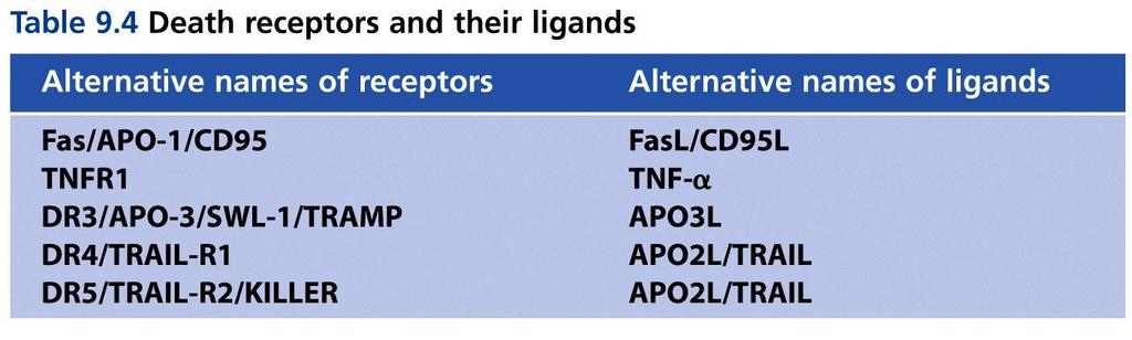 Receptory smrti (DRs) a jejich ligandy Table 9.