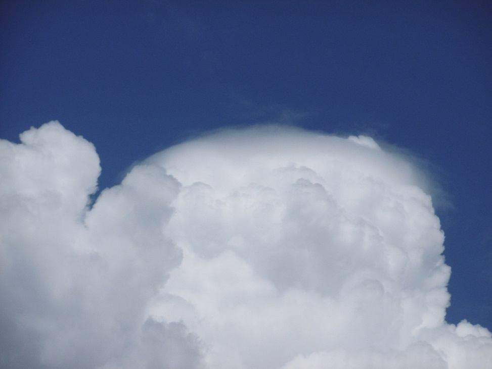 FOTOGALERIE Rostoucí oblak Cumulus s