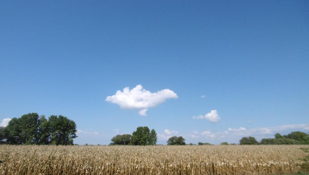 FOTOGALERIE Přeháňková a bouřková činnost na konci srpna, patrné srážkové pruhy pod