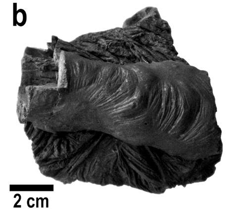 Na základě studia archeologických nálezů zařazuje Šamalová (2007) působnost hutnického areálu do vrcholné éry jihlavského hornictví na přelomu 13. 14. stol.