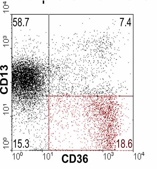 CD115 Příklad identifikace buněk myeloidních linií CD34 + CD13 - (CD36 + ) CD34 + CD13+