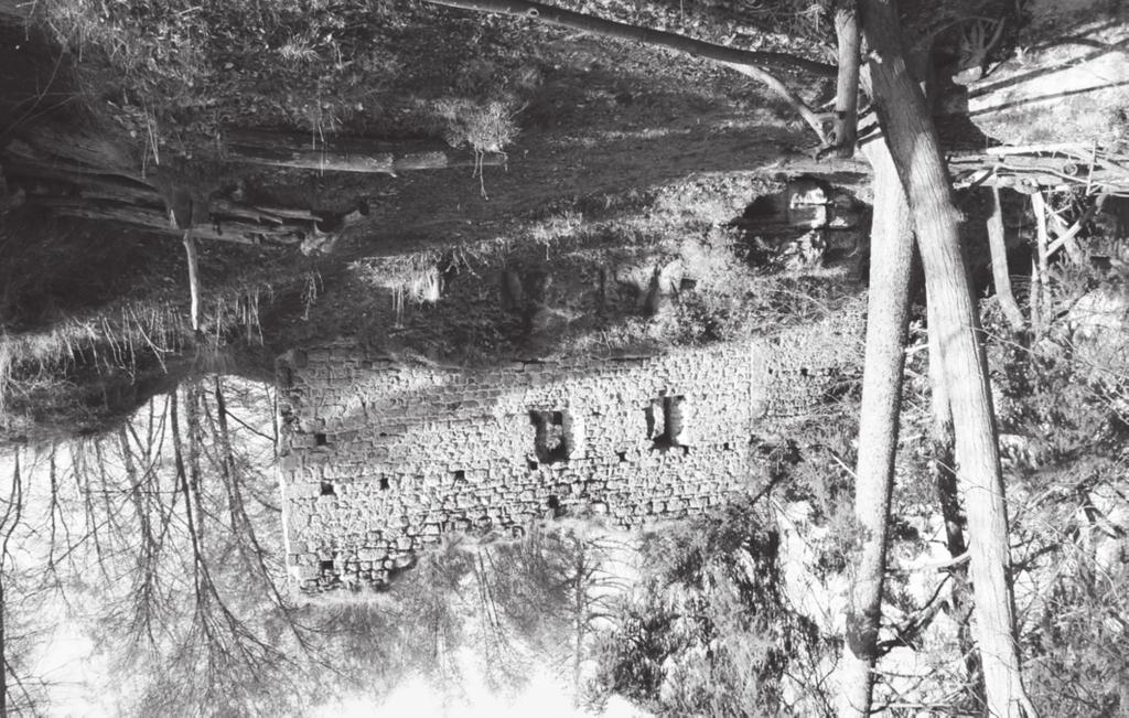 Archeologie ve středních Čechách 22, 208, str. 679 686 Nové poznatky k Chudému hrádku (k. ú. Dřevčice, okr.