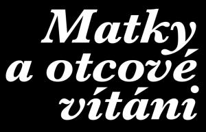 Rodičovství jako celoživotní program Sdílení best practices, strategií, programů, opatření pro komplexní podporu rodičů v kontextu firem, státu, měst a obcí Martin Hasinec, HR Manager Czech Republic