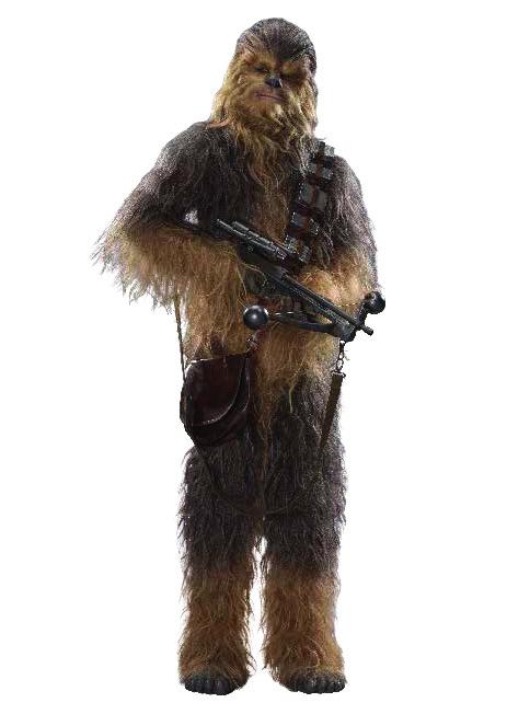 CHEWBACCA WOOKIESKÝ VÁLE NÍK, PILOT A HRDINA P íslušnost: Povstalecká aliance/odboj Domovský sv t: Kashyyyk Rasa: