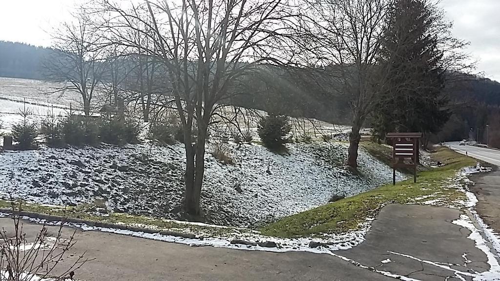 Ve veřejném prostranství budou vedeny inženýrské sítě, na něž budou rodinné domy napojeny po dohodě se správci sítí. Ze severní strany veřejného prostranství je vymezena vůči silnici I.