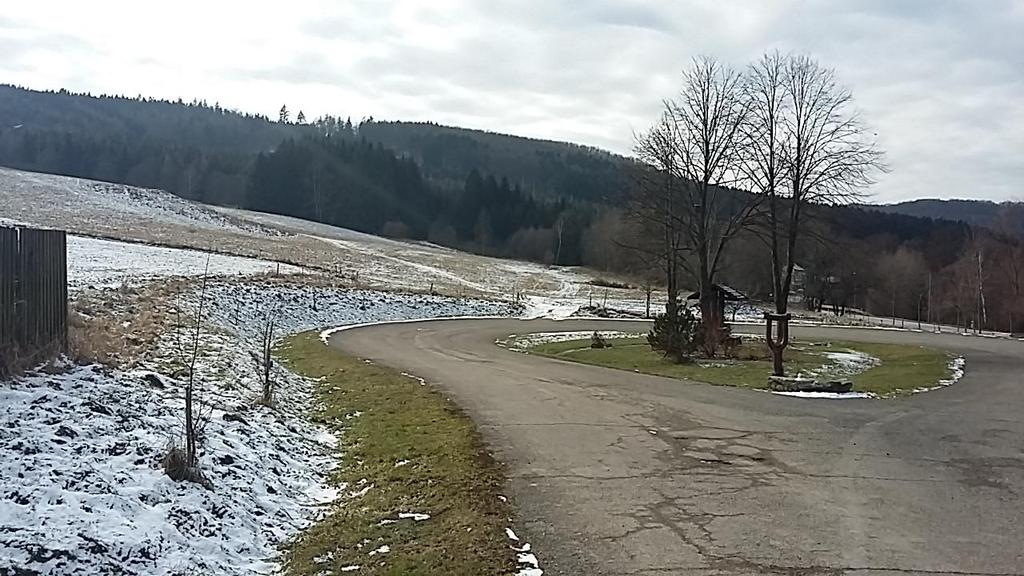 Ze severní strany veřejného prostranství je vymezena mezi obslužnou komunikací a silnicí I. třídy plocha veřejné zeleně a plocha pro parkování.