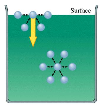 Povrchové napětí Molekuly na povrchu kapaliny interagují jen s jinými molekulami uvnitř kapaliny - nerovnoměrné rozložení sil Síla v povrchu