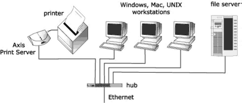 Red Hat Enterprise Linux a některé jsou dokonce zcela zdarma jako CentOS (Community Enterprise Operating System, jedna se o distribuci Linuxu).
