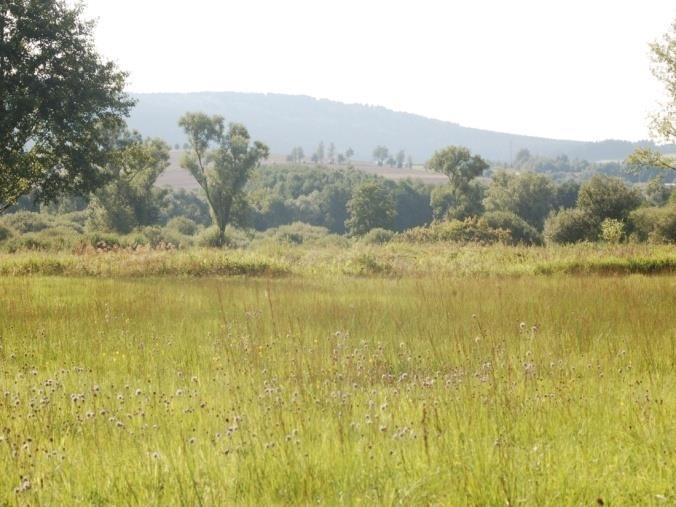 zde soustava malých extenzivně obhospodařovaných