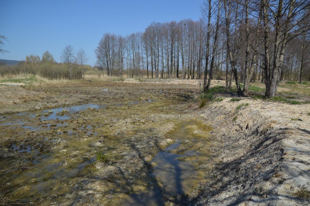 zavlažování Přeměna nekulturní mokřadní krajiny a její ekonomické