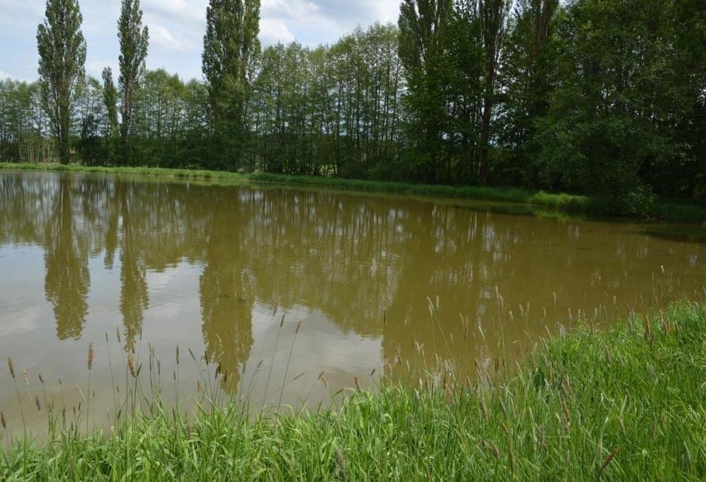 panských rybnících Jako projev dobré vůle jim vrchnost dává povolení stavět