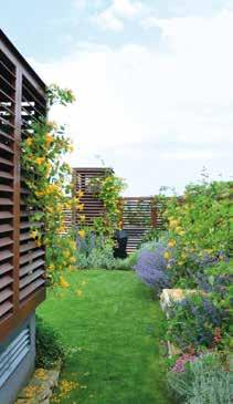 Zahrada na terase vznikla během jednoho měsíce od oslovení investorem, konzultací po dokončení realizace.