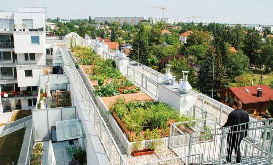 Zelená střecha v Otevřené zahradě Nadace Partnerství v Brně Polointenzivní zelené střechy Polointenzivní zelené střechy (také nazývané jednoduché intenzivní) tvoří přechodný typ mezi extenzivními a