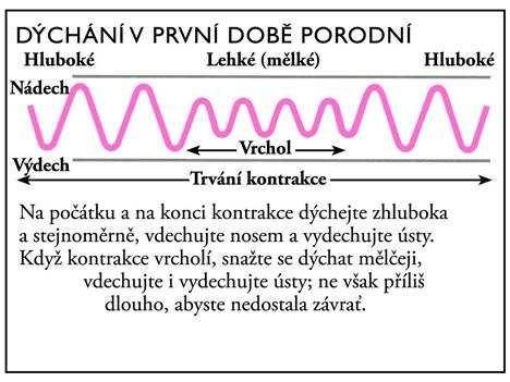 Příloha 5.
