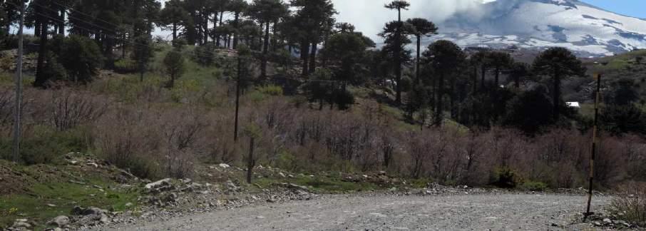 Celá oblast je PARQUE PROVINCIAL COPAHUE - CAVIAHUE. Za hranicí v Chile se nachází několik známých činných sopek.