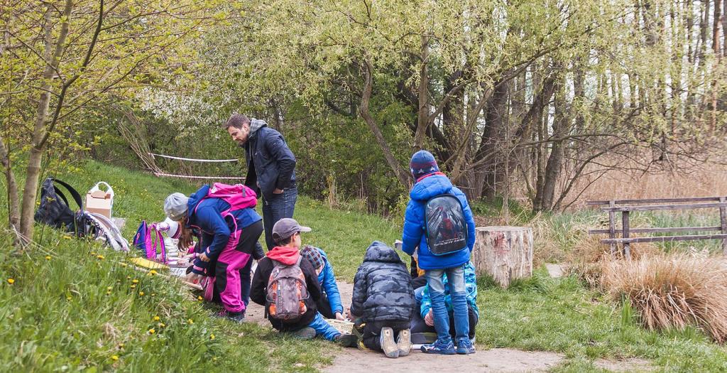 12 LET PROGRAMU 874 zapojených mateřských škol ze 14 krajů 56 provedených rozesílek 4 čísla Informačního bulletinu Mrkvička 11 uskutečněných konferencí v 11 krajích 82 hodin programu s 66 lektory 538