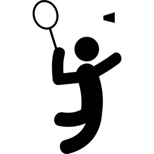 badmintonisty Petra Koukaa Logo: ZŠ Týnec nad Sázavou Škoní areá