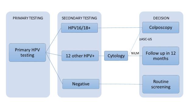 Von Karsa L. et al. European Guidelines for Quality Assurance in Cervical Cancer Screening. 2nd ed.