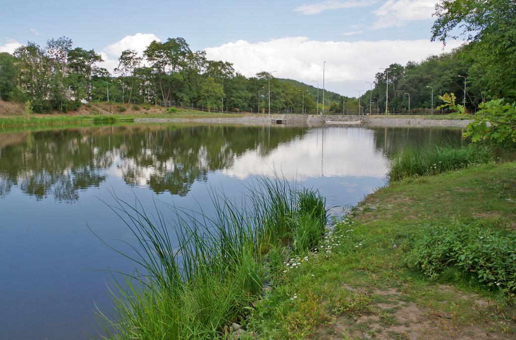 Byly vybudovány 4 zcela nové rybníky (rybník Zahrádky, dva rybníky ve Stromovce, rybník Kotlářka).