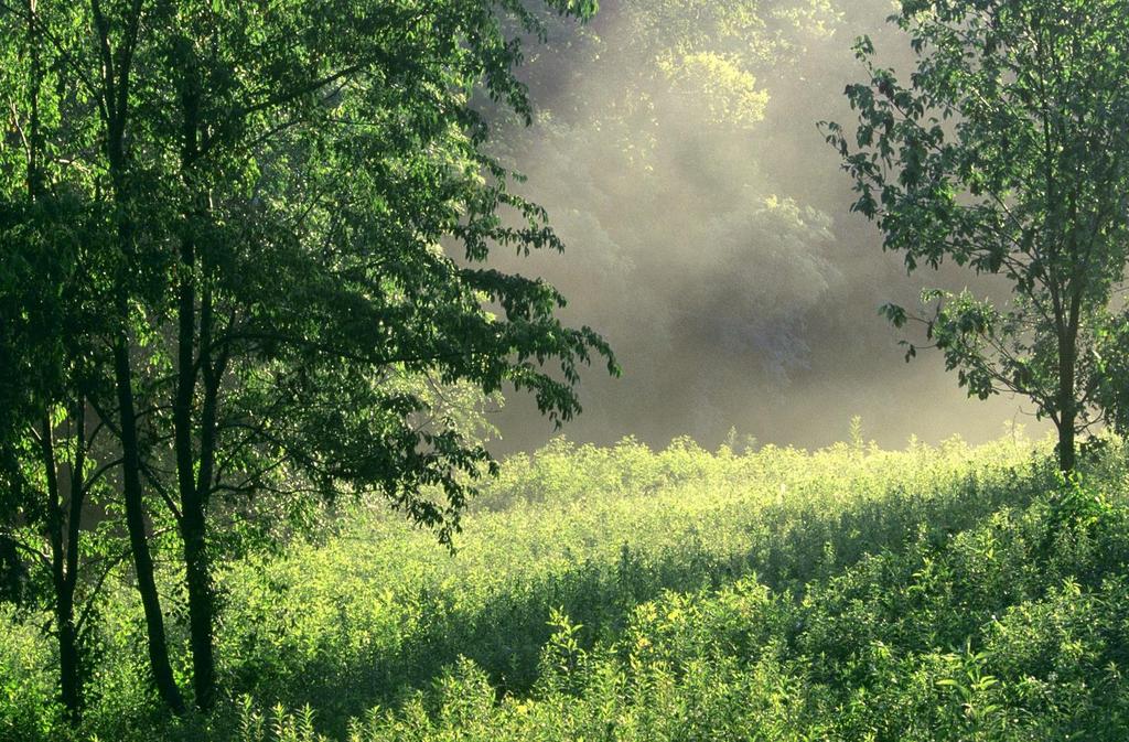 2009 výroční zpráva