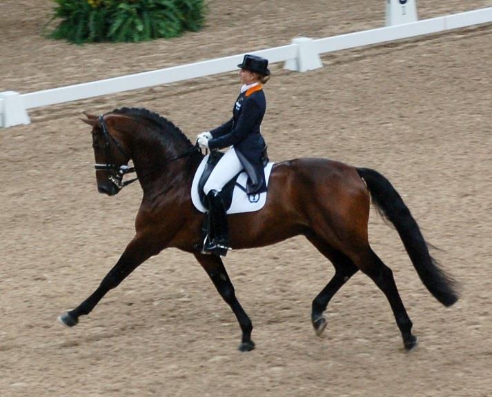 Anglické ježdění Drezura Drezura je sportovní disciplína