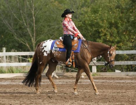 Reining Rychlostní disciplína, ve které však kůň musí prokázat vysoký