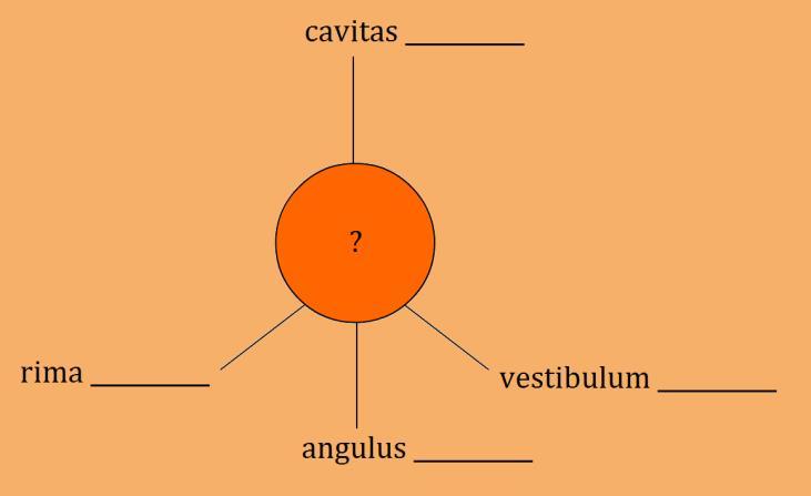 gastris faucium pylorici