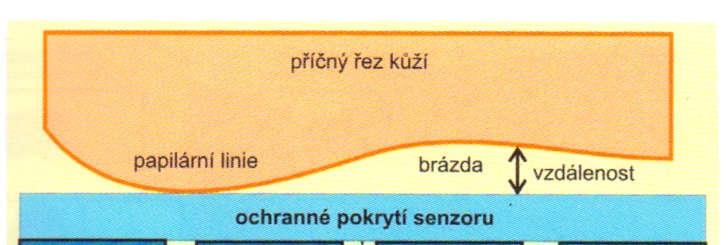 Opto-elektrické senzory mají dvě základní vrstvy. Vrchní vrstvu tvoří polymer.