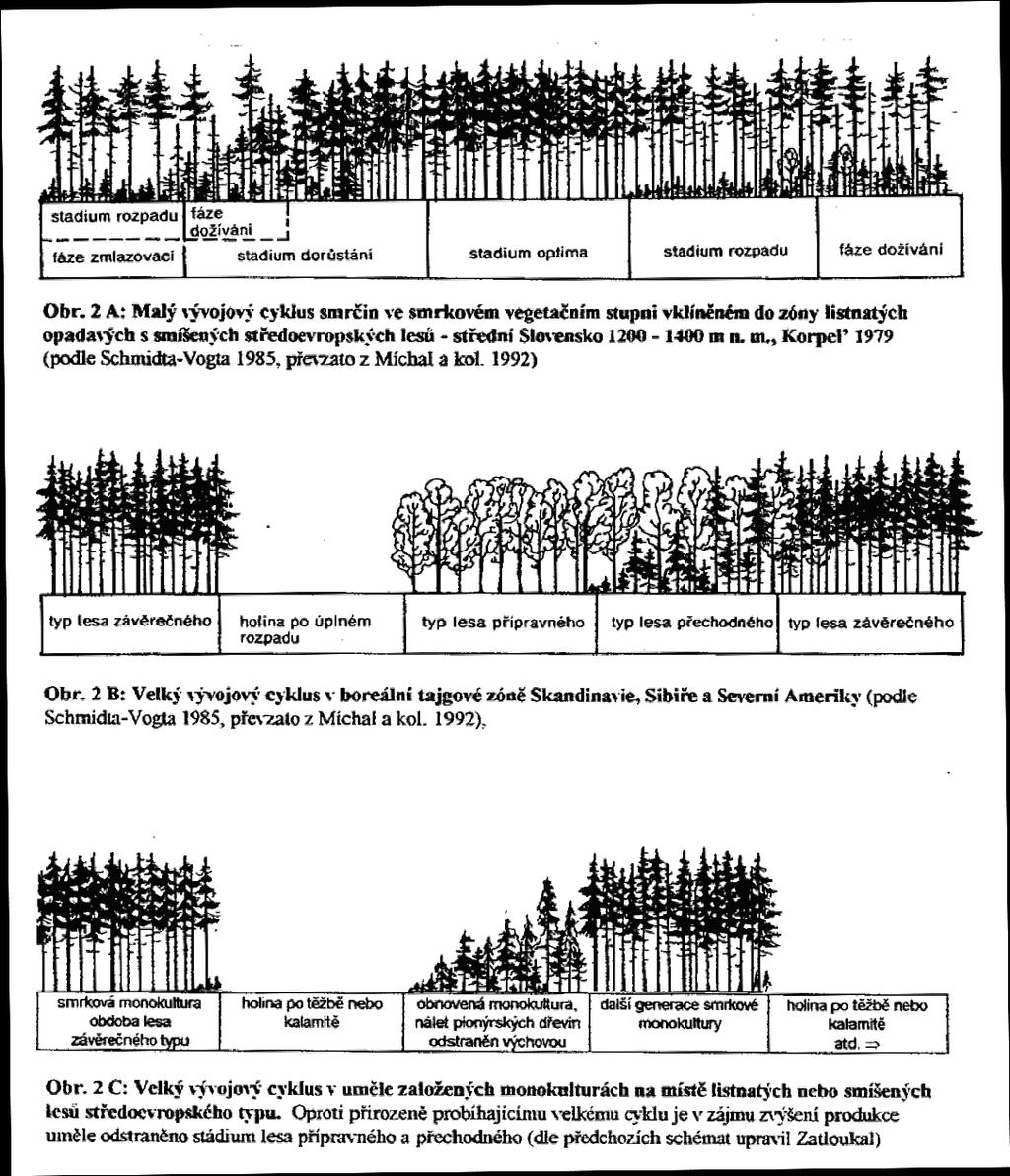 hospodářské úpravy lesů. Model lesa věkových tříd je vhodným nástrojem pro zařízení stejnorodých, stejnověkých a převážně holosečně obhospodařovaných jehličnatých lesů.