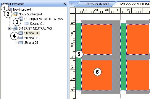 Zpracování projektu Struktura projektu Projekt (1) můţe sestávat z jednoho nebo více subprojektů (2). Viz kapitola: Okno Projekt Explorer.