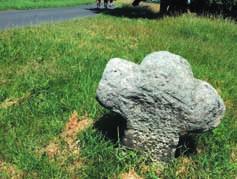 Hlavní organizátor ing. âestmír Ondráãek z âeské botanické spoleãnosti a témûfi tfii desítky nad encû laãnících po botanick ch informacích z na eho území byli ov em jiného názoru.
