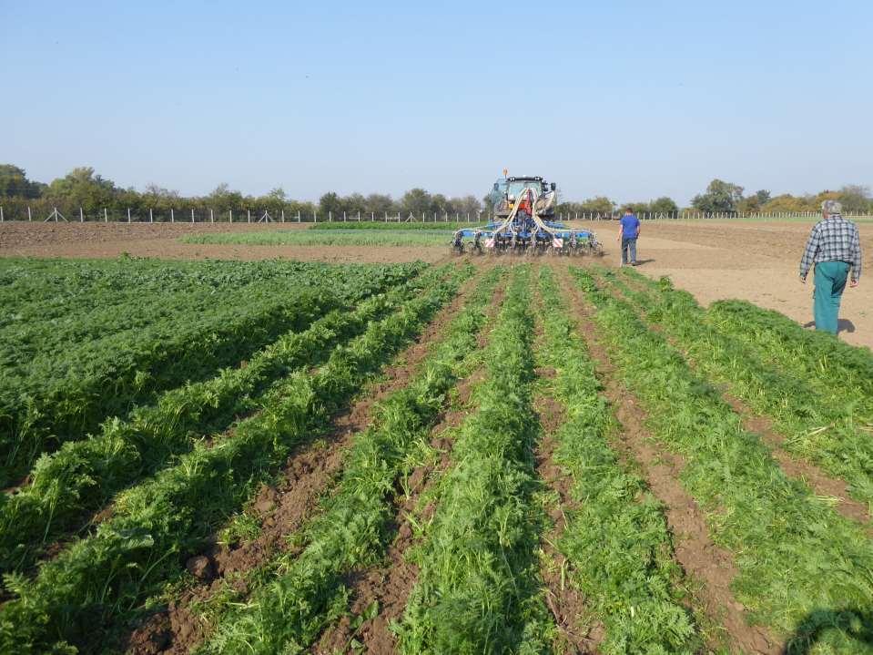 Strip-till v kombinaci