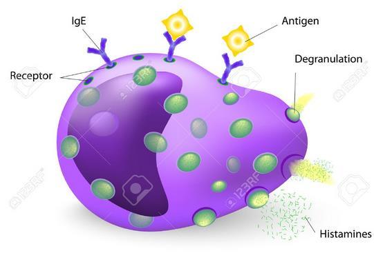 Histamin Biogenní aminy vznikají působením mikroorganismů na aminokyseliny přítomné v potravinách. Způsobují zápach a ve vysokých koncentracích mohou vyvolat nepříznivé účinky na zdraví.