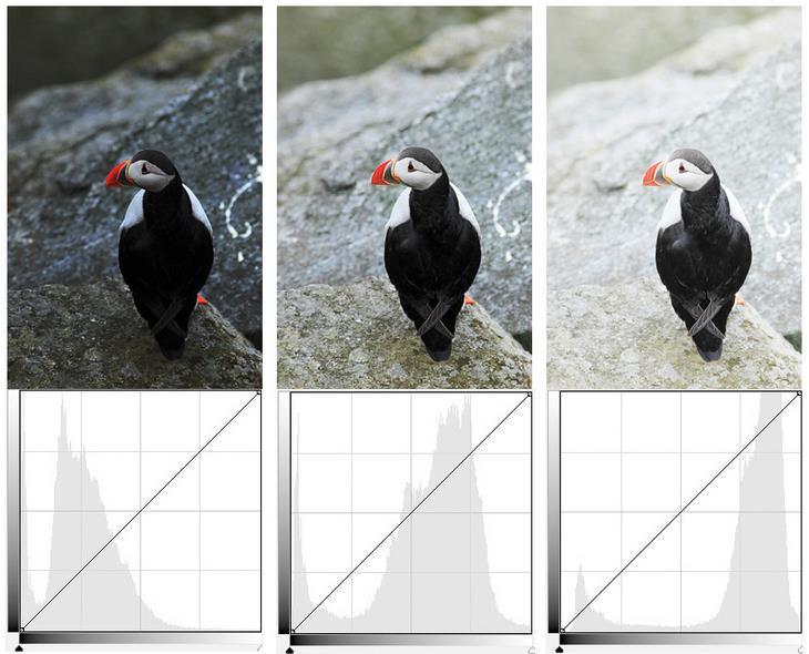 Histogram