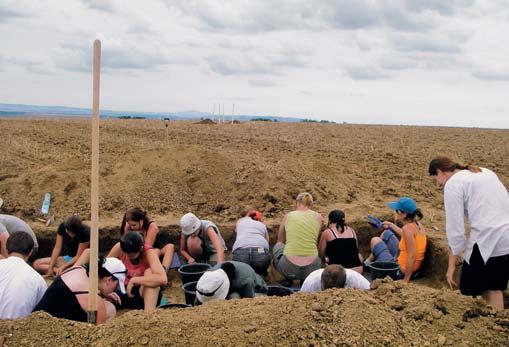 Brno basin on the cadastral territory of Líšeň: Líšeň I / Líšeň - Čtvrtě site (Škrdla et al. 2010) and Líšeň VIII / Líšeň - Nad výhonem (Škrdla et al.