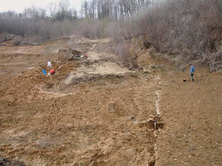 Photo 4. Napajedla - Zámoraví. General view of the site. Photo P. Škrdla. Foto 4. Napajedla - Zámoraví. Celkový pohled na lokalitu. Foto P. Škrdla. pajedla Gate (ca.