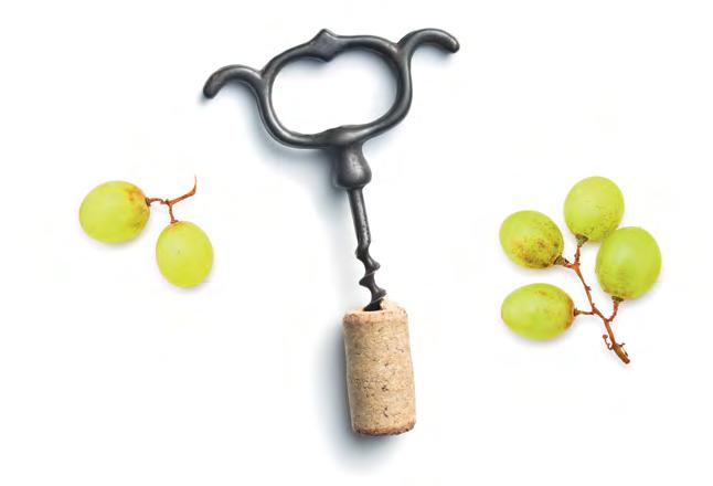 ROZLÉVANÁ VÍNA WINE BY THE GLASS OFFENE WEINE Prosseco DOC Metico Frizzante 0,15 l 90 CZK šumivé sparkling Schaumwein Vini Tonon, Itálie Rulandské šedé Pinot Gris 0,15 l 75 CZK bíle, suché white, dry