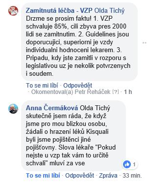 Výsledky implicitní diskriminace Paradoxy důkaz logickým sporem: Největší vzorek (VZP) vychýlen od mediánu Vychýlení jednostranné (největší je jediný negativní) -> Výskyt žádostí není řízen náhodou