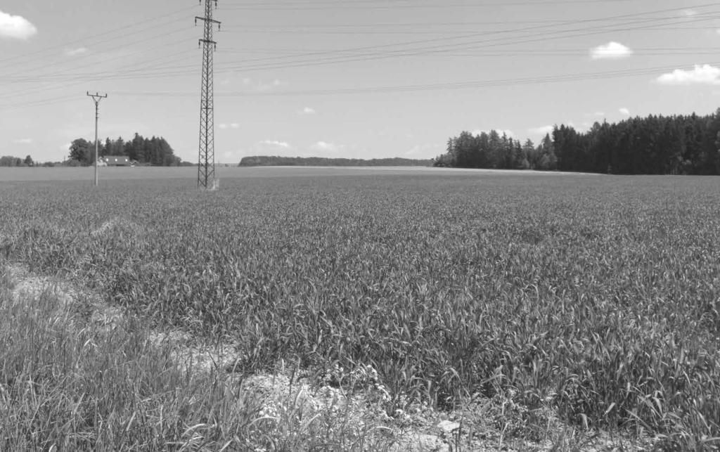 the NW periphery of Žamberk town. Obr. 11: Plochý, mírně ukloněný strukturní povrch pravostranné části povodí Rokytenky východně od Kameničné.