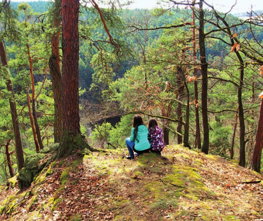 Zlatou Korunou, která je součástí