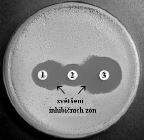 25 mm 25 mm CAZ 30 μg AMC 30 μg CTX 30 μg 10) Plotny umístíme do termostatu (víčkem nahoru, neobracet, aby disky by nespadly) a